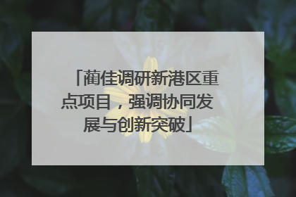 蔺佳调研新港区重点项目，强调协同发展与创新突破