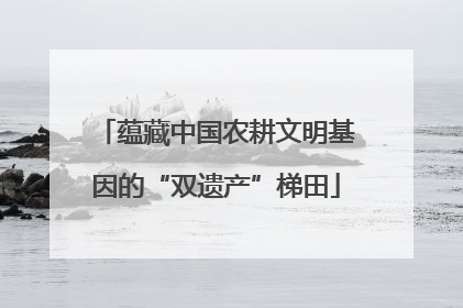蕴藏中国农耕文明基因的“双遗产”梯田