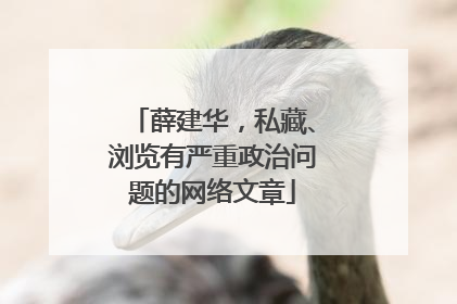 薛建华，私藏、浏览有严重政治问题的网络文章