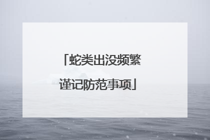 蛇类出没频繁 谨记防范事项