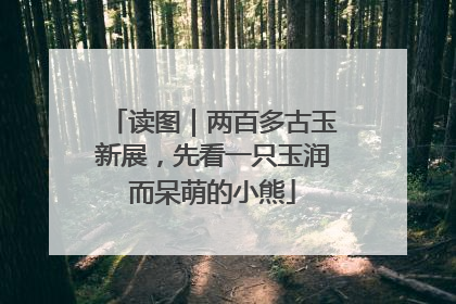 读图｜两百多古玉新展，先看一只玉润而呆萌的小熊
