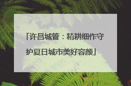 许昌城管：精耕细作守护夏日城市美好容颜
