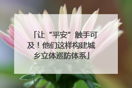 让“平安”触手可及！他们这样构建城乡立体巡防体系