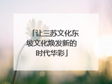 让三苏文化东坡文化焕发新的时代华彩