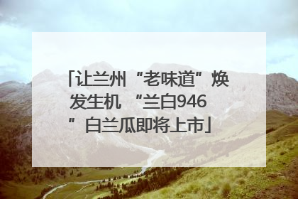让兰州“老味道”焕发生机 “兰白946”白兰瓜即将上市