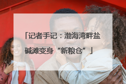 记者手记：渤海湾畔盐碱滩变身“新粮仓”