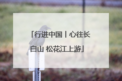 行进中国丨心往长白山 松花江上游