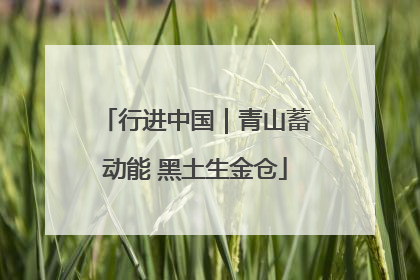 行进中国｜青山蓄动能 黑土生金仓