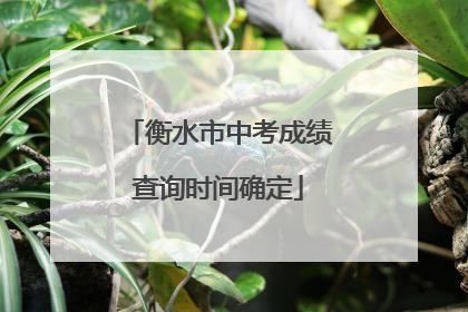 衡水市中考成绩查询时间确定