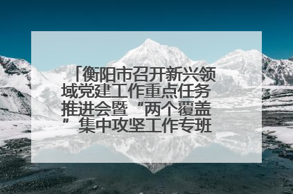 衡阳市召开新兴领域党建工作重点任务推进会暨“两个覆盖”集中攻坚工作专班 第一次会议