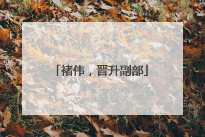 褚伟，晋升副部