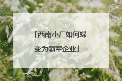 西南小厂如何蝶变为领军企业