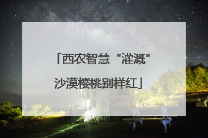 西农智慧“灌溉” 沙漠樱桃别样红
