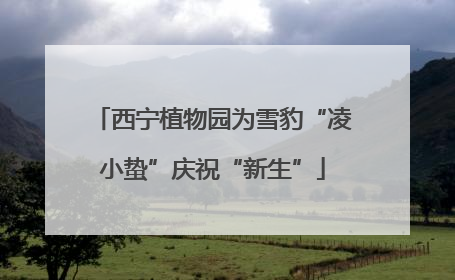 西宁植物园为雪豹“凌小蛰”庆祝“新生”