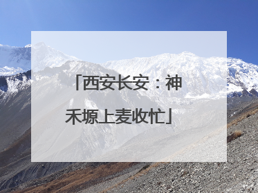 西安长安：神禾塬上麦收忙
