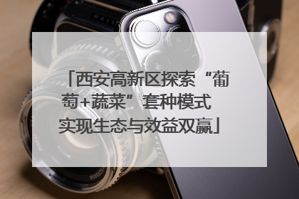 西安高新区探索“葡萄+蔬菜”套种模式 实现生态与效益双赢