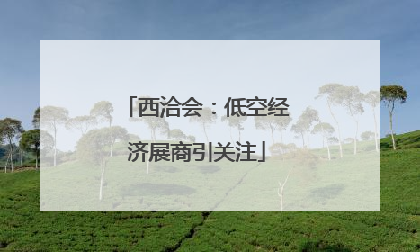 西洽会：低空经济展商引关注