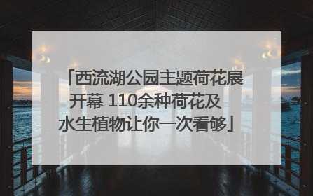 西流湖公园主题荷花展开幕 110余种荷花及水生植物让你一次看够