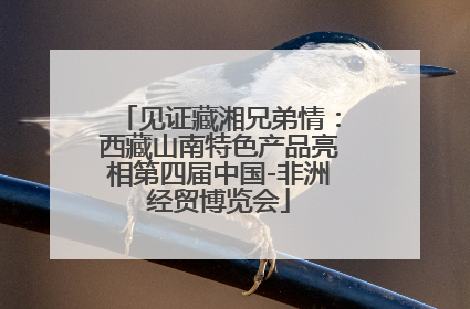 见证藏湘兄弟情：西藏山南特色产品亮相第四届中国-非洲经贸博览会