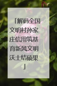 解码全国文明村孙家庄信用筑基育新风文明沃土结硕果