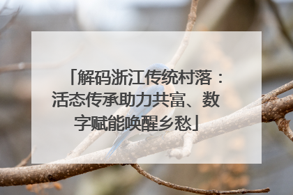 解码浙江传统村落：活态传承助力共富、数字赋能唤醒乡愁