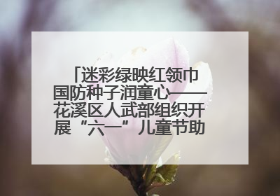 迷彩绿映红领巾 国防种子润童心——花溪区人武部组织开展“六一”儿童节助学兴教活动