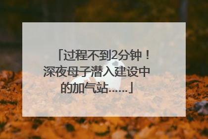 过程不到2分钟！深夜母子潜入建设中的加气站……