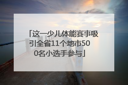 这一少儿体能赛事吸引全省11个地市500名小选手参与