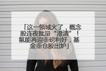这一领域火了，概念股连夜批量“澄清”！氢能再迎重磅利好，基金重仓股出炉