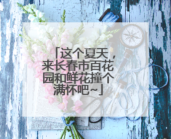 这个夏天，来长春市百花园和鲜花撞个满怀吧~