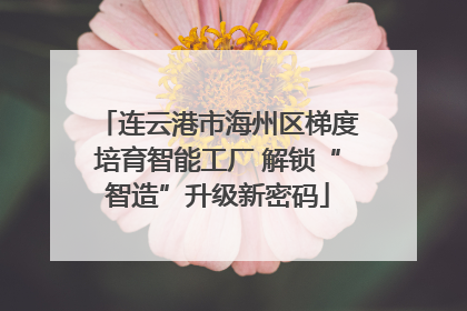 连云港市海州区梯度培育智能工厂 解锁“智造”升级新密码
