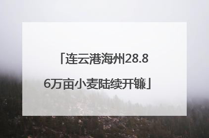 连云港海州28.86万亩小麦陆续开镰