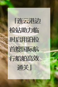 连云港边检站助力临时启用泊位首艘国际航行船舶高效通关