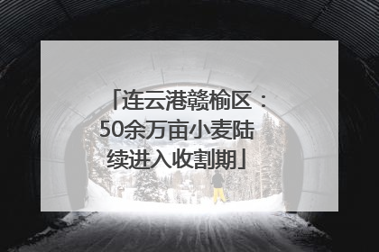 连云港赣榆区：50余万亩小麦陆续进入收割期