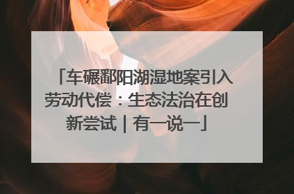 车碾鄱阳湖湿地案引入劳动代偿：生态法治在创新尝试｜有一说一