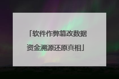 软件作弊篡改数据 资金溯源还原真相