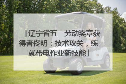 辽宁省五一劳动奖章获得者佟明：技术攻关，练就带电作业新技能
