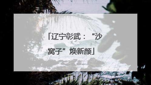 辽宁彰武：“沙窝子”焕新颜