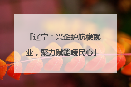 辽宁：兴企护航稳就业，聚力赋能暖民心