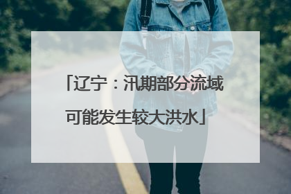 辽宁：汛期部分流域可能发生较大洪水
