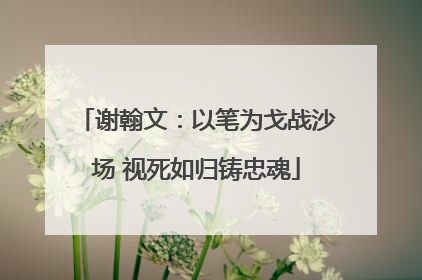 谢翰文：以笔为戈战沙场 视死如归铸忠魂