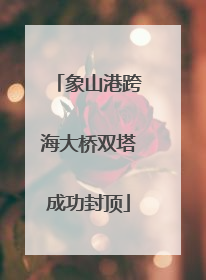 象山港跨海大桥双塔成功封顶