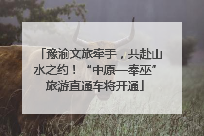 豫渝文旅牵手，共赴山水之约！“中原—奉巫”旅游直通车将开通
