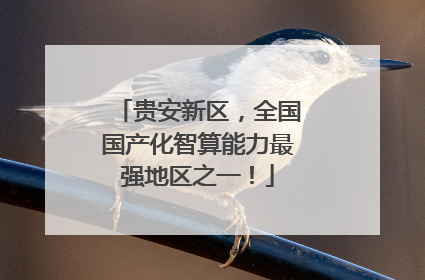 贵安新区，全国国产化智算能力最强地区之一！