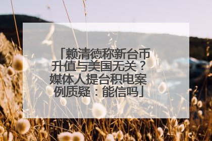 赖清德称新台币升值与美国无关？媒体人提台积电案例质疑：能信吗