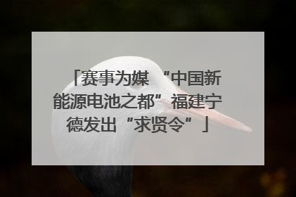 赛事为媒 “中国新能源电池之都”福建宁德发出“求贤令”
