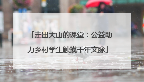走出大山的课堂：公益助力乡村学生触摸千年文脉