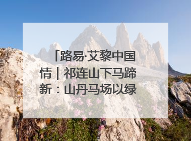 路易·艾黎中国情｜祁连山下马蹄新：山丹马场以绿色发展诠释“两山”理论实践