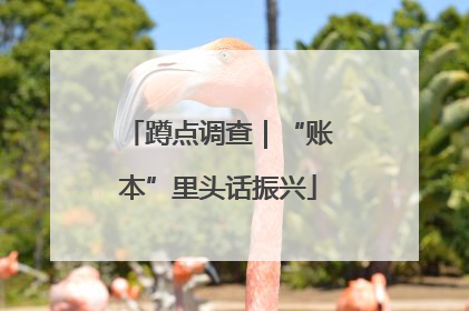 蹲点调查｜“账本”里头话振兴