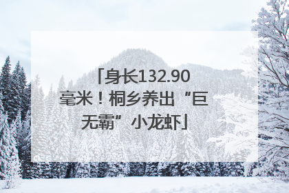 身长132.90毫米！桐乡养出“巨无霸”小龙虾